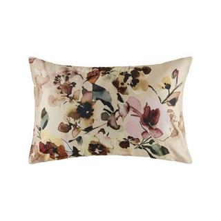 Kas Romneya Federa floreale  