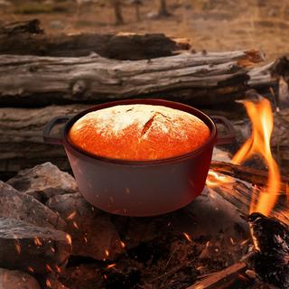 Arebos  Dutch Oven BBQ 2in1 Marmite en fonte Marmite de feu Marmite 