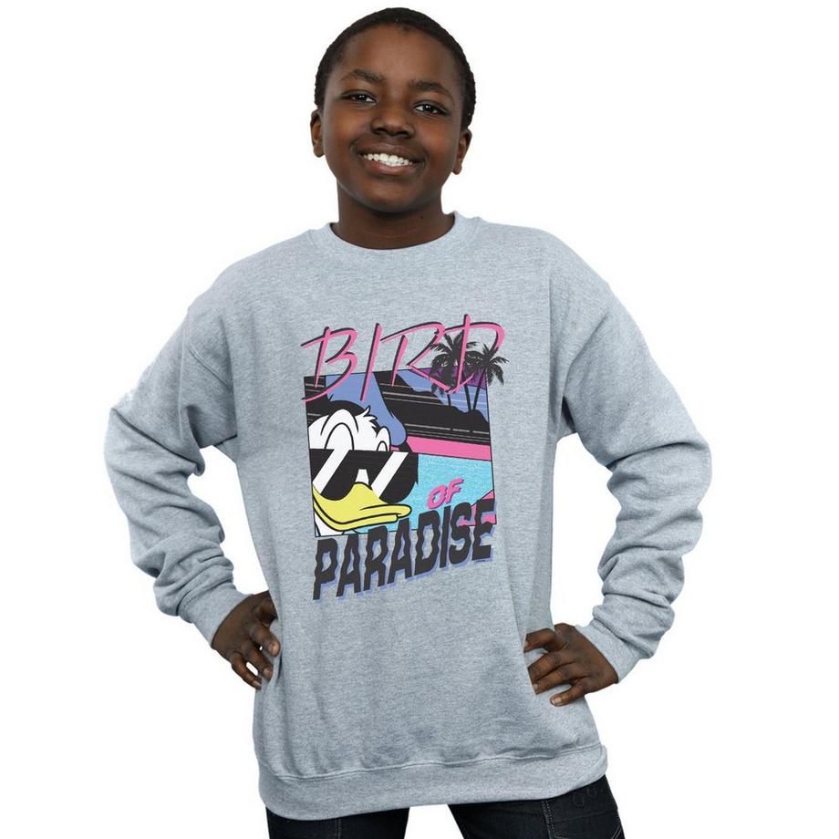 Disney  Sweat BIRD OF PARADISE 
