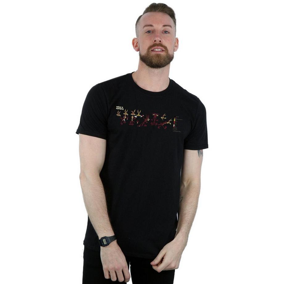 LOONEY TUNES Wile E Coyote Evolution T-Shirt Imprimé  