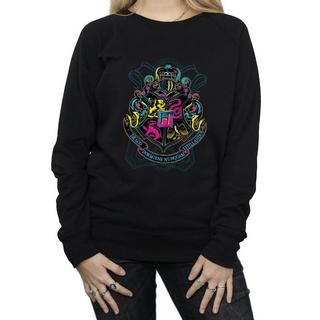 Harry Potter  Hogwarts Sweatshirt 