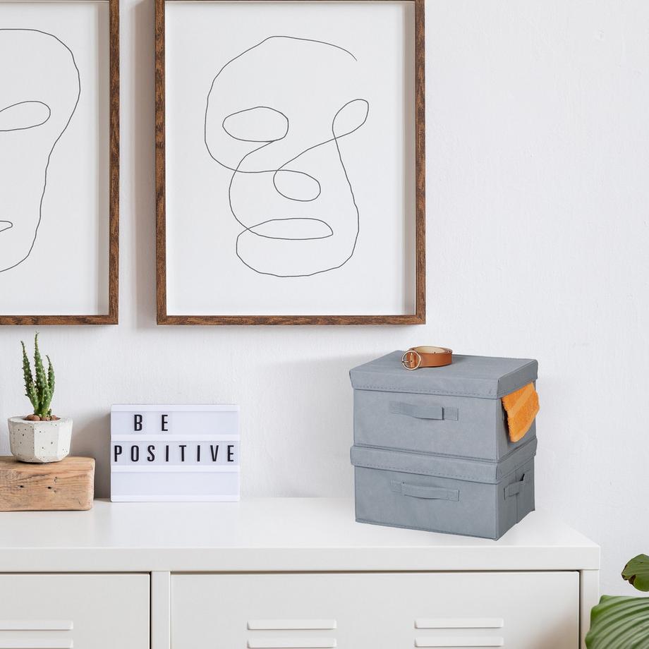 B2X Fasertuch Aufbewahrungsbox 2er Set  