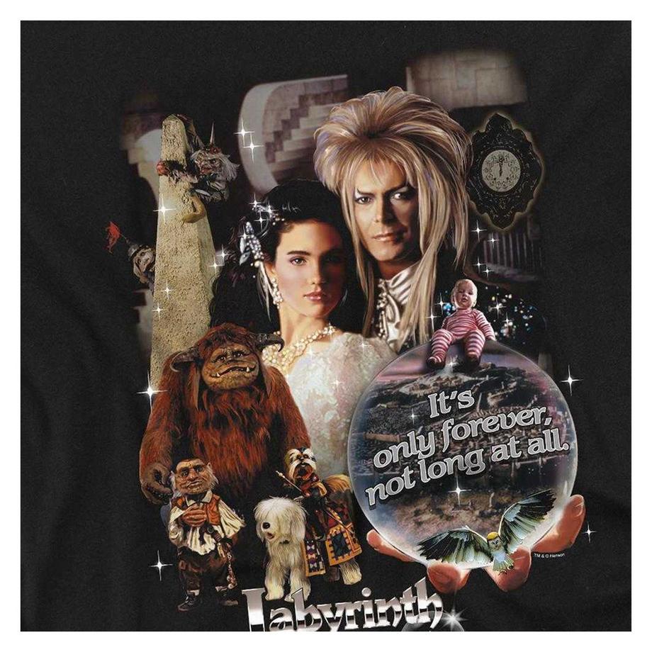 Labyrinth Maglietta Manica Lunga 25 Years Of Magic  