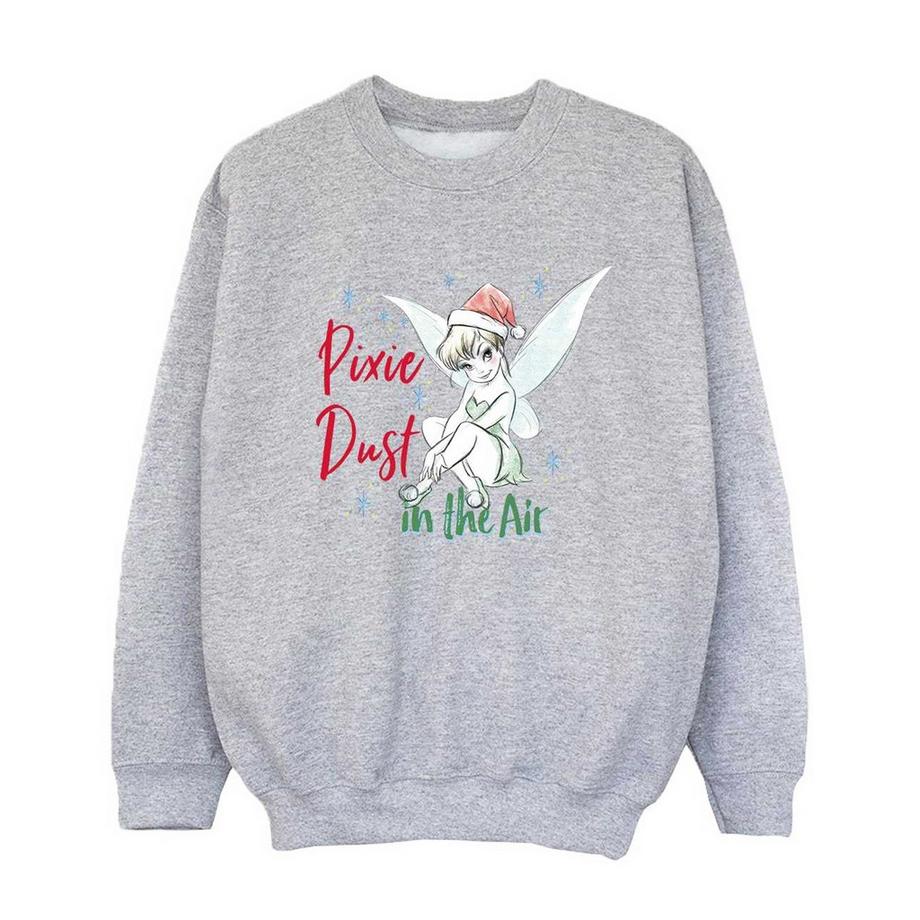 Disney  Sweat PIXIE DUST 