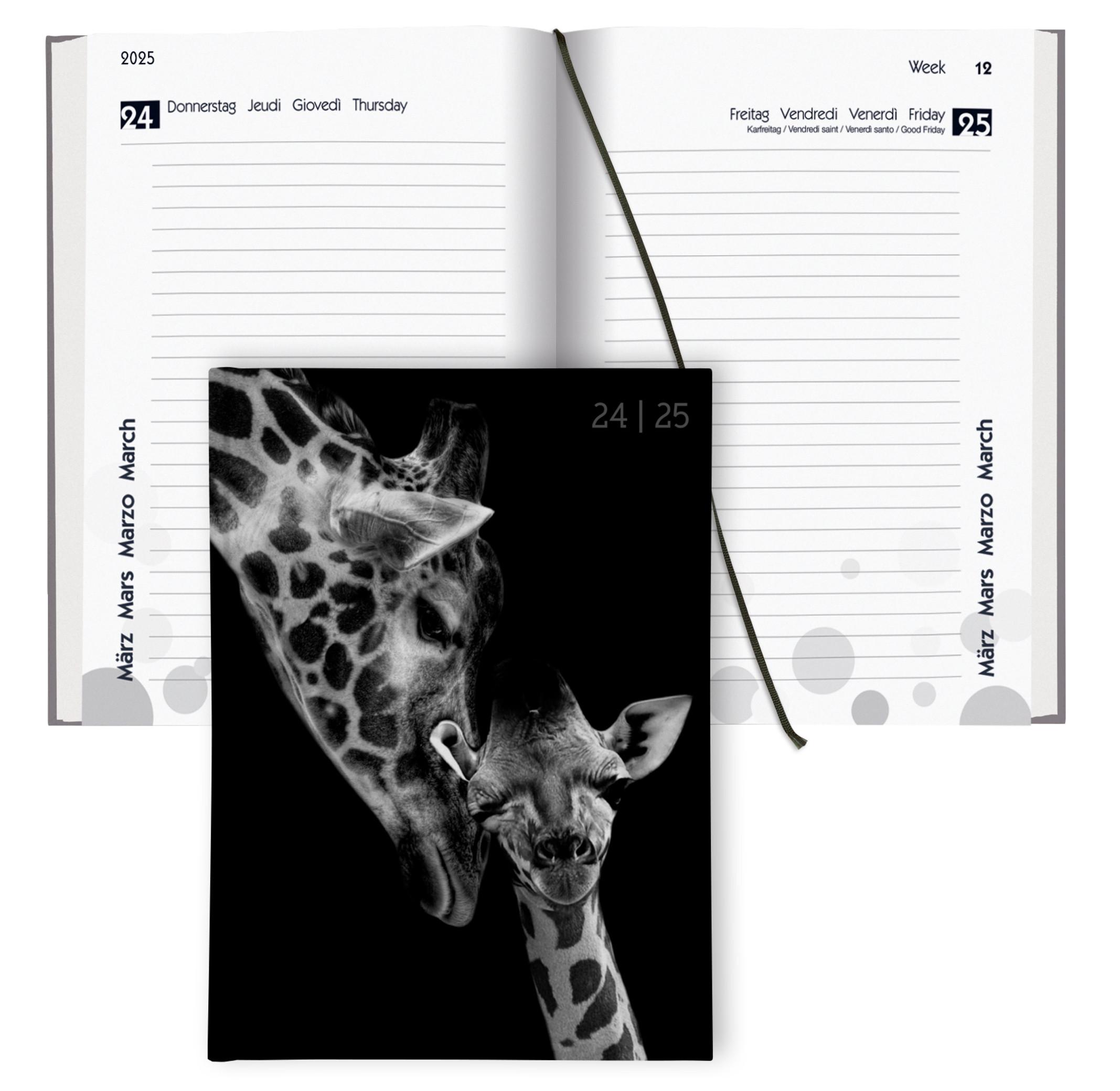 Biella Agenda scolaire mydiary 1 jour par page, ouatiné, Animal - Multicolores  