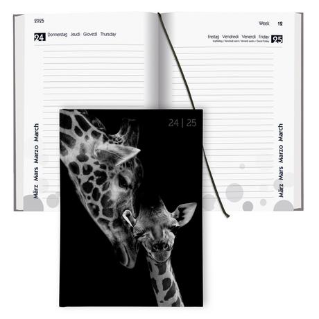 Biella Schüleragenda mydiary 1 Tag pro Seite, wattiert, Animal  