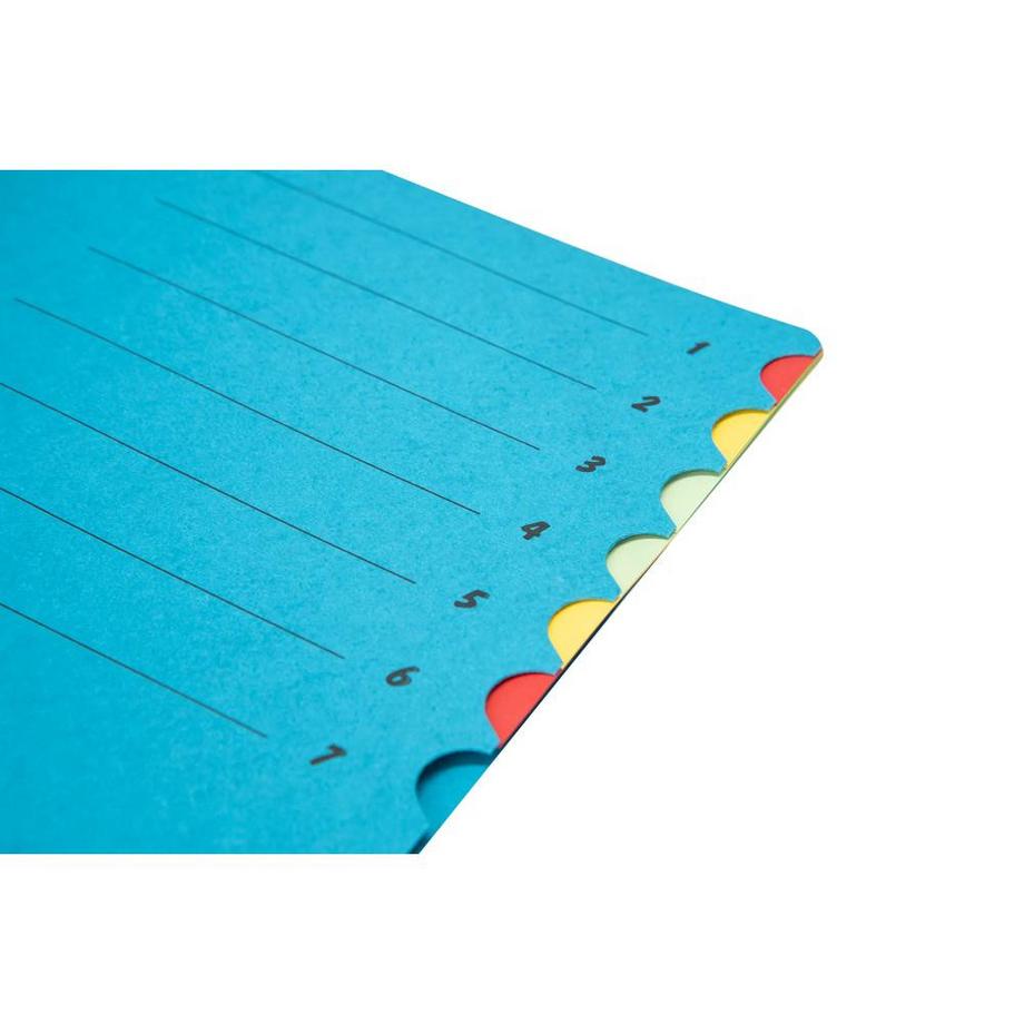 Biella Pult- und Ordnungmappe A4 A4 7-teilig mit Gummiband  