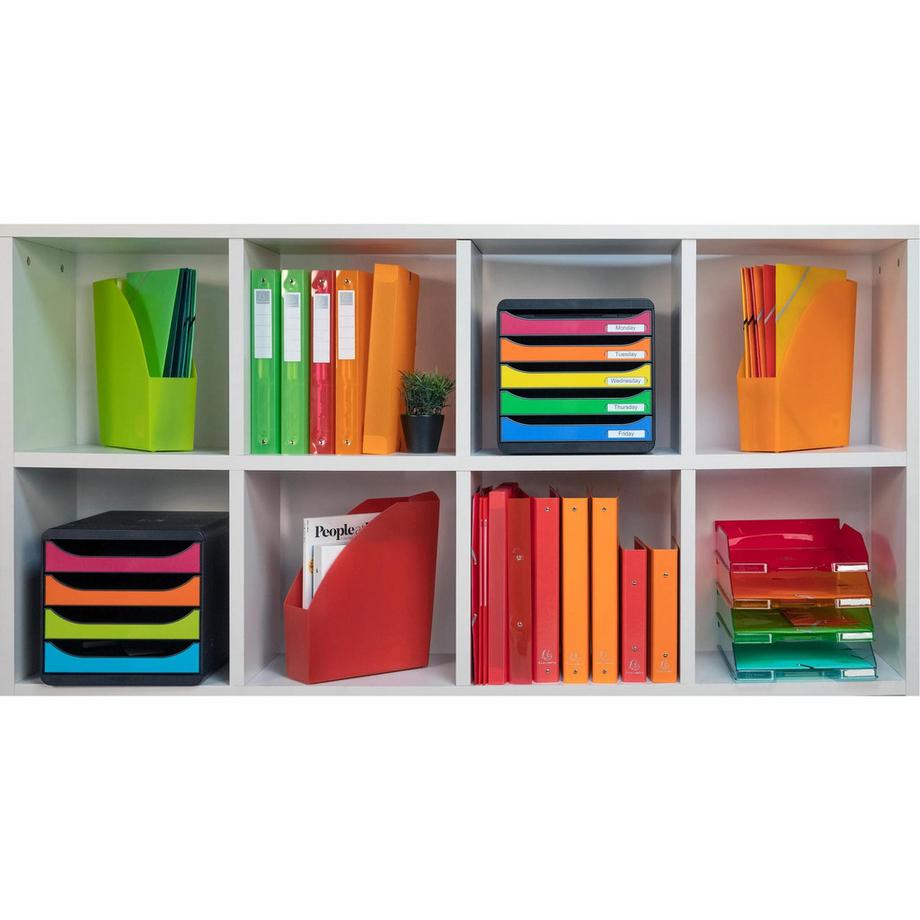 Exacompta Set 4 Vaschette portacorrispondenza Combo Midi Linicolor  