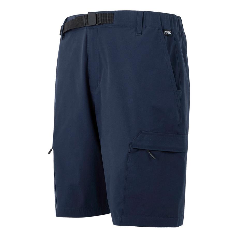 Regatta Mallen Shorts  