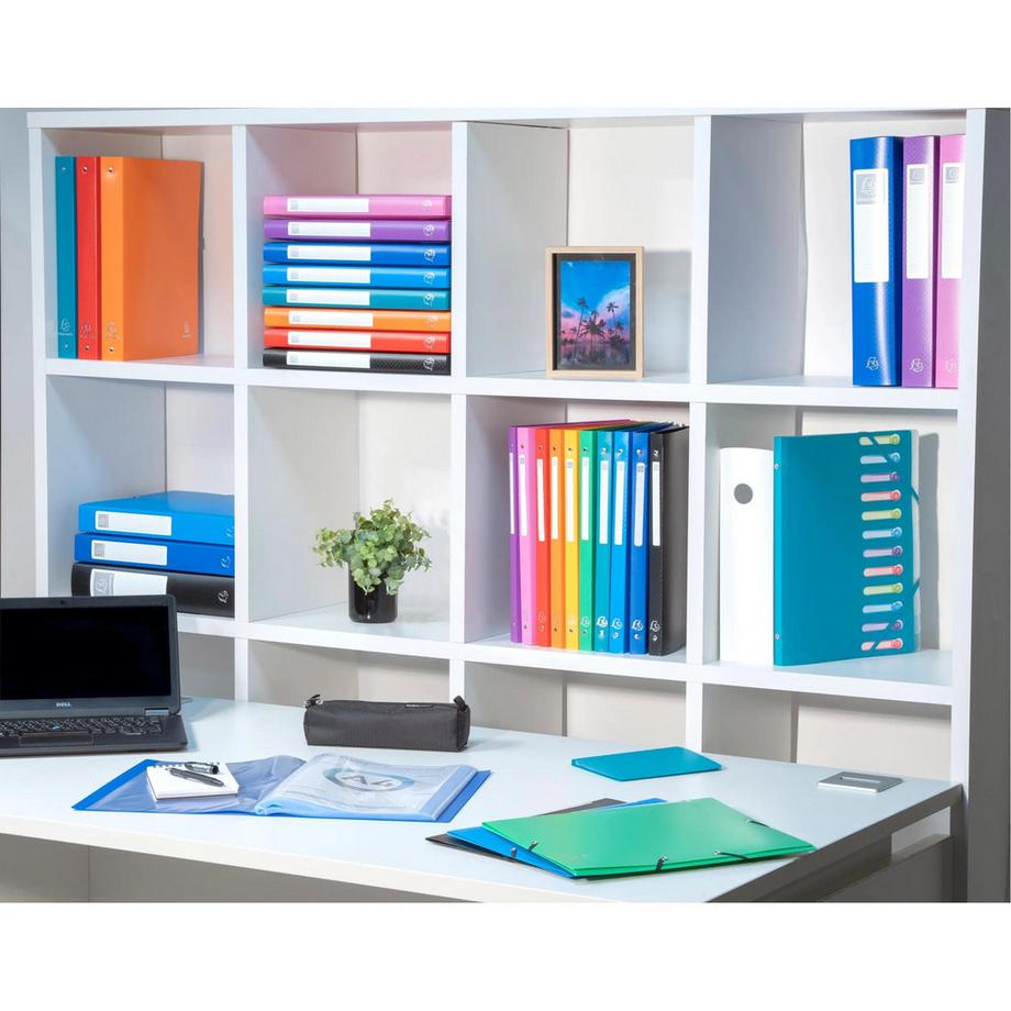 Exacompta Protège-documents en polypropylène souple OPAK 160 vues - A4 - x 8  