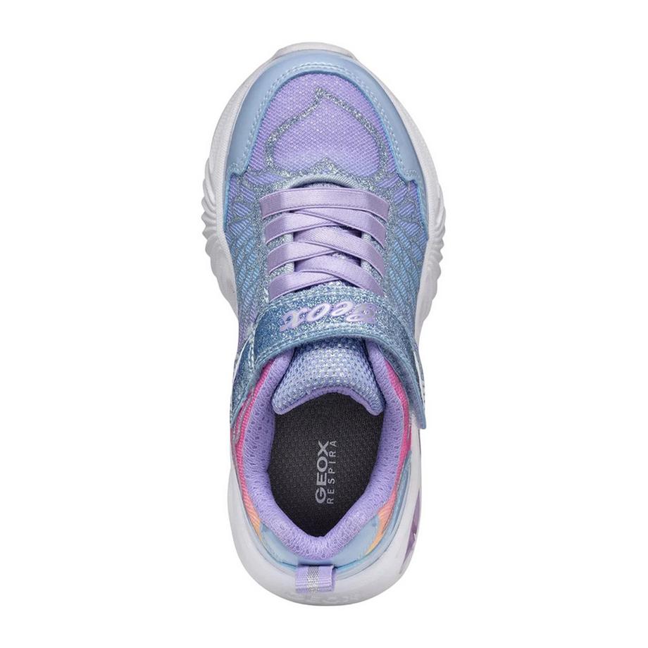 GEOX Sneaker Assister mit Flügeln  