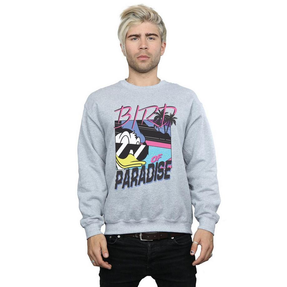 Disney Bird Of Paradise Sweatshirt  
