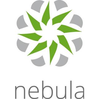 ZyXEL  LIC-NPRO-ZZ1Y00F licence et mise à jour de logiciel 1 licence(s) 1 année(s) 