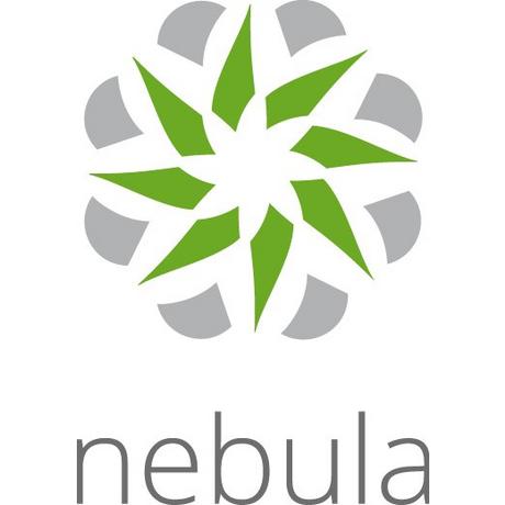 ZyXEL  LIC-NPRO-ZZ1Y00F licence et mise à jour de logiciel 1 licence(s) 1 année(s) 