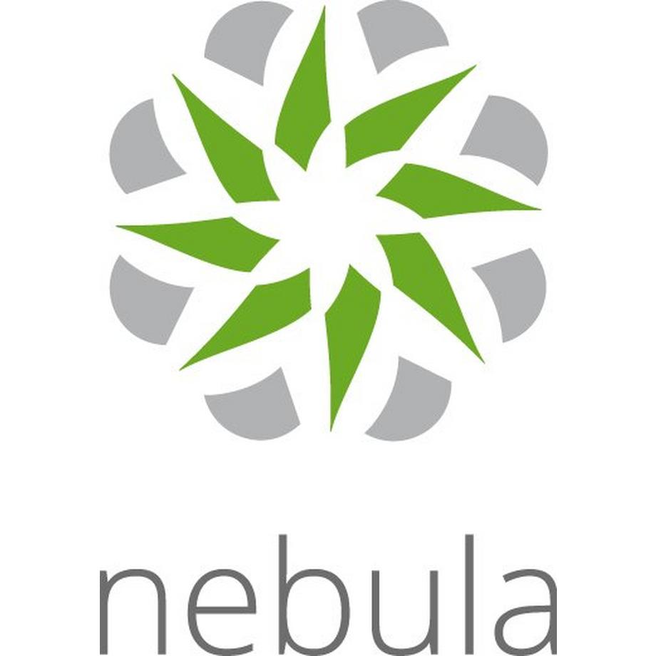 ZyXEL  LIC-NPRO-ZZ1Y00F Software-Lizenz/-Upgrade 1 Lizenz(en) 1 Jahr(e) 