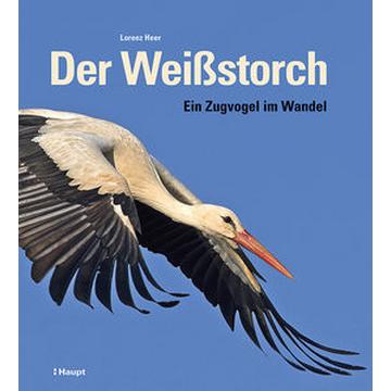 Der Weißstorch