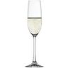 Spiegelau Champagnerglas Salute 210ml 4tlg 4er Set, D: 5.3cm  H: 24.5cm  