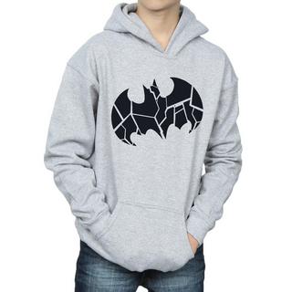 DC COMICS  Sweat à capuche 