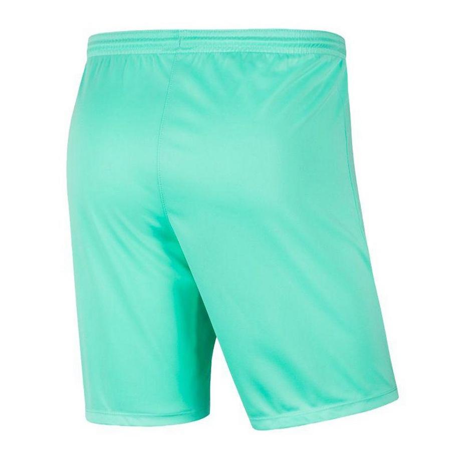 NIKE  Short Dry Park 
