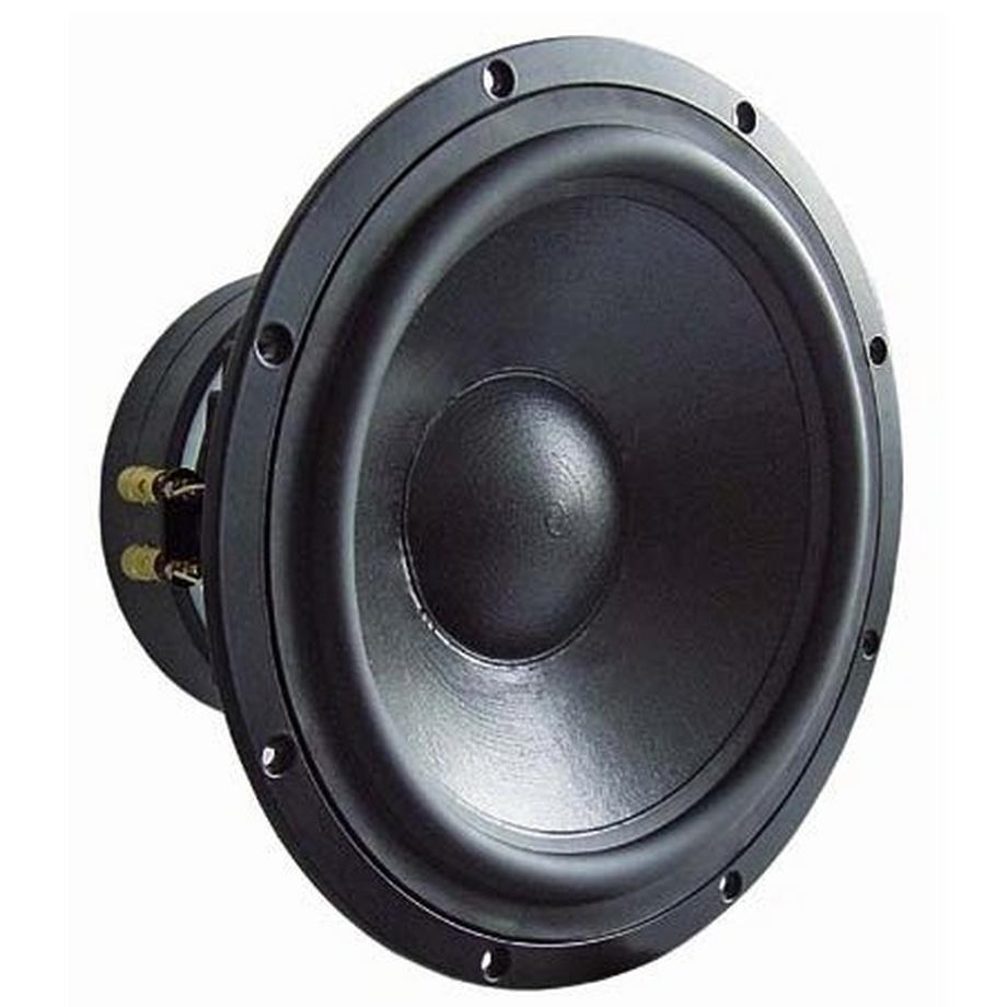 Visaton TIW 300 300 W 1 Stück(e) Woofer-Lautsprecher-Treiber