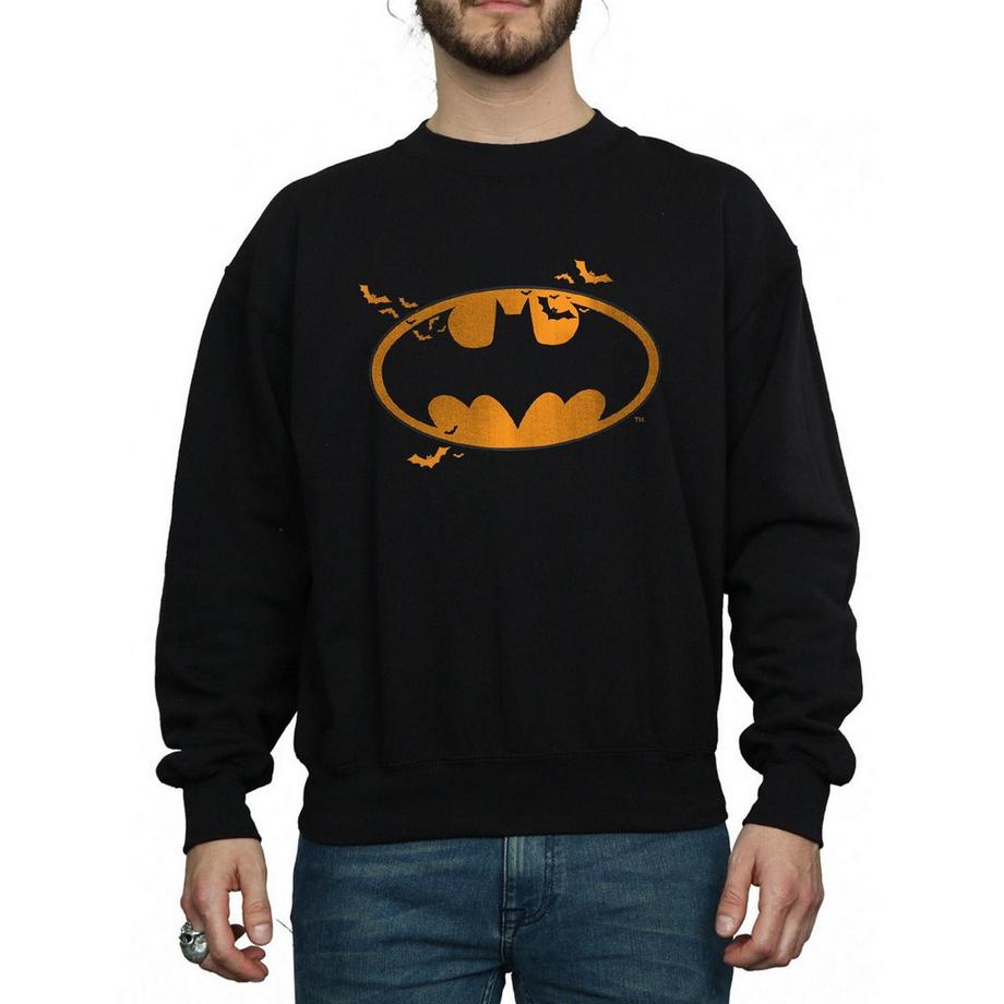 DC COMICS Batman Logo Regular Fit Sweatshirt  