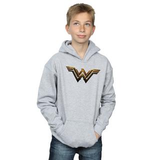 DC COMICS  Justice League Kapuzenpullover 