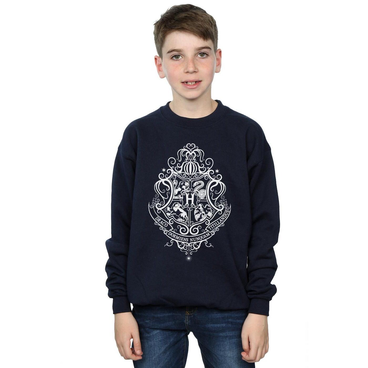 HARRY-POTTER  Hogwarts Draco Dormiens Sweatshirt 