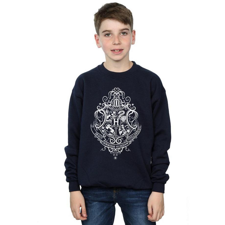 Harry Potter  Hogwarts Draco Dormiens Sweatshirt 