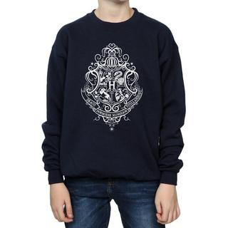 HARRY-POTTER  Hogwarts Draco Dormiens Sweatshirt 