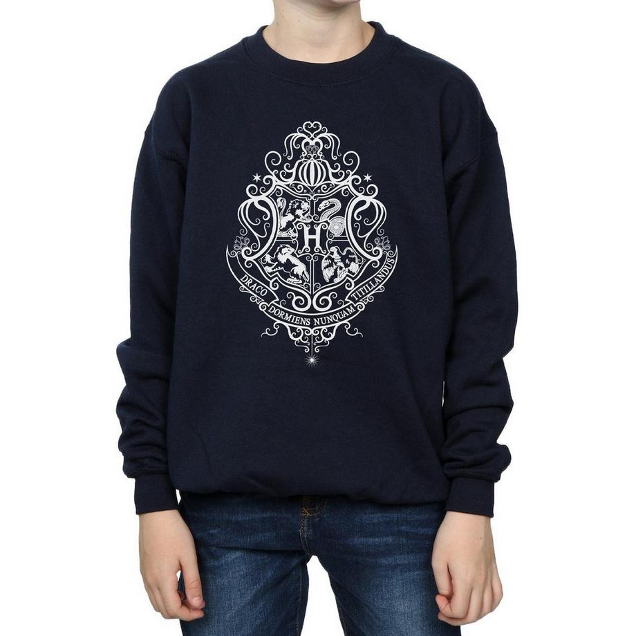 Harry Potter  Hogwarts Draco Dormiens Sweatshirt 