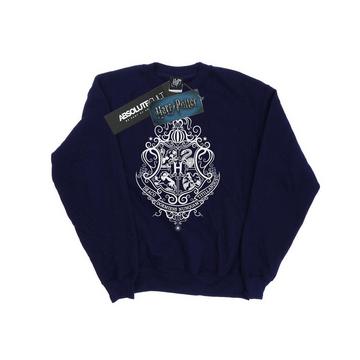 Hogwarts Draco Dormiens Sweatshirt