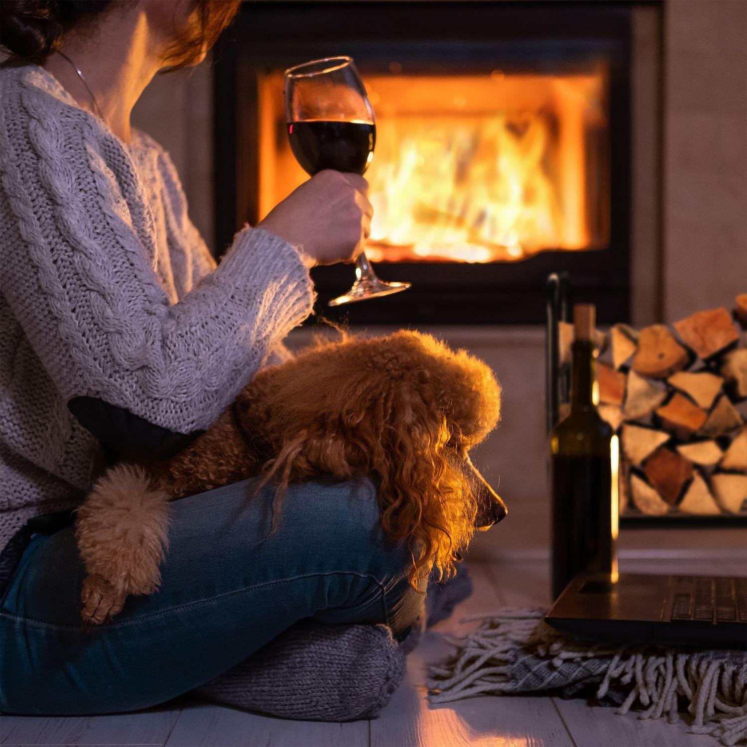 B2X Carrello per legna da ardere con cesto per legna da ardere  