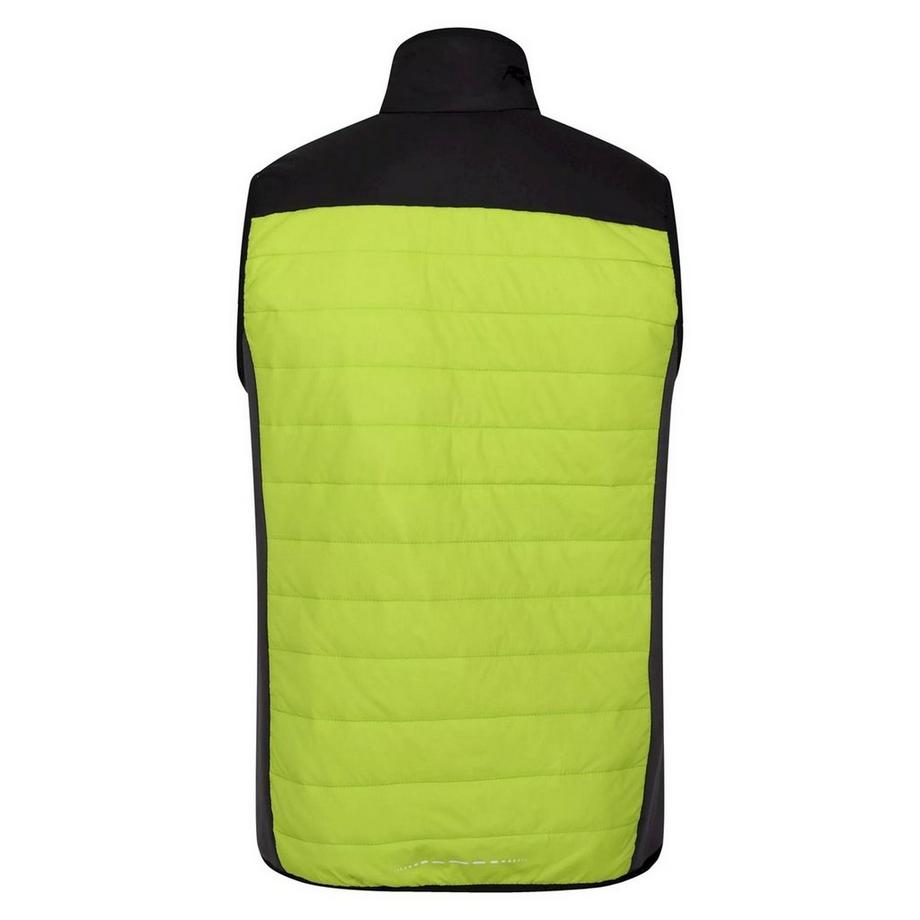 Regatta  Halton Vi Gilet Imbottito Leggera 
