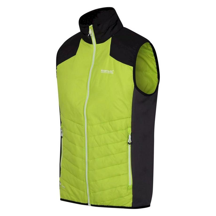 Regatta  Halton Vi Gilet Imbottito Leggera 