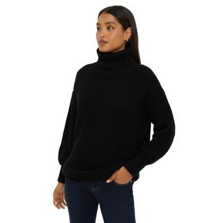 Dorothy Perkins  Pullover Rollkragen 