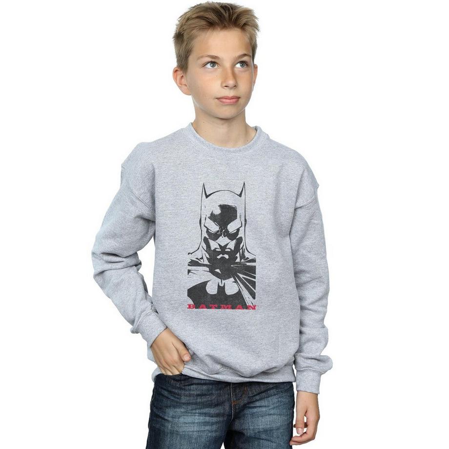 DC COMICS  Sweatshirt 