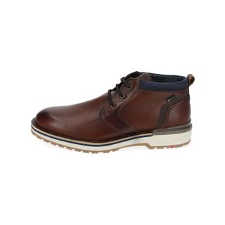 Lloyd  Bottines 23-515 