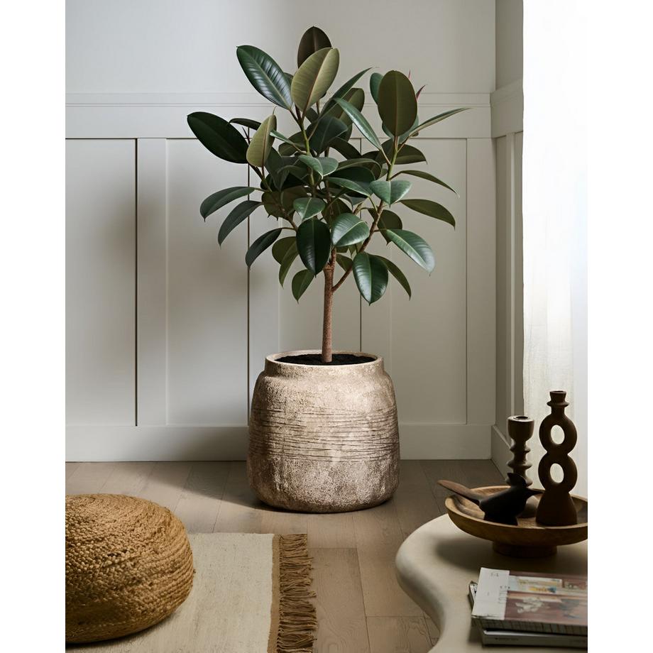 Beliani Vaso per piante en Fibra d'argilla Moderno ARGOSTOLI  