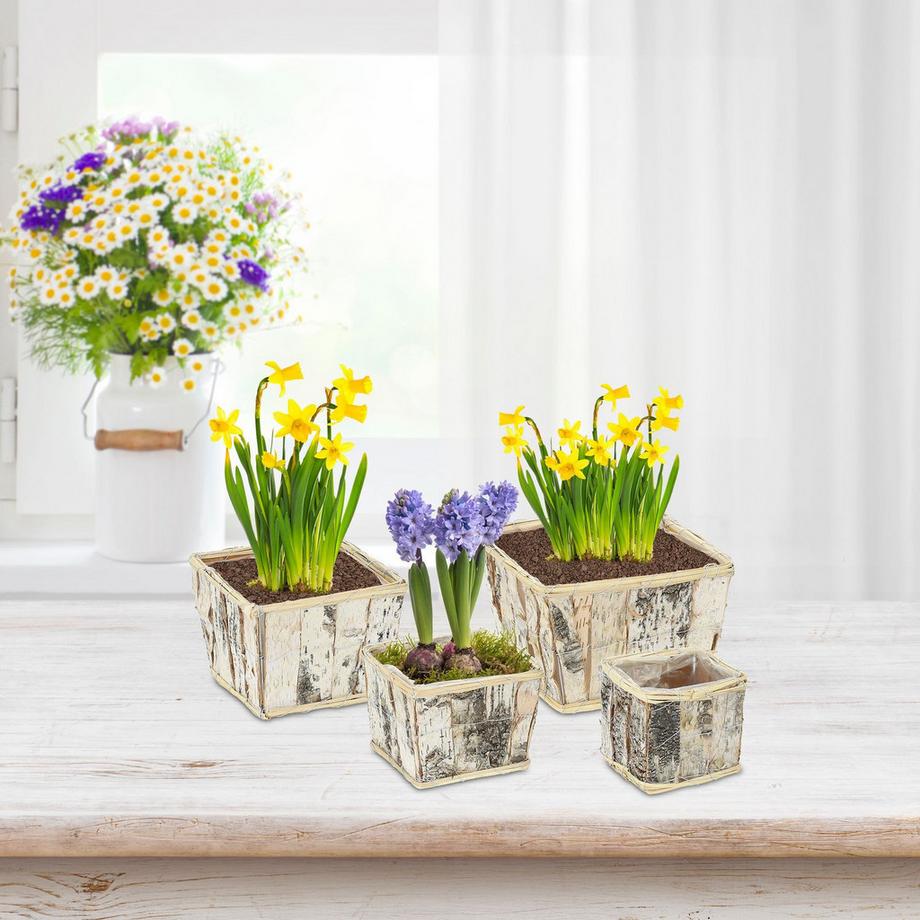 B2X Quadratischer Blumentopf Birke 4er Set  