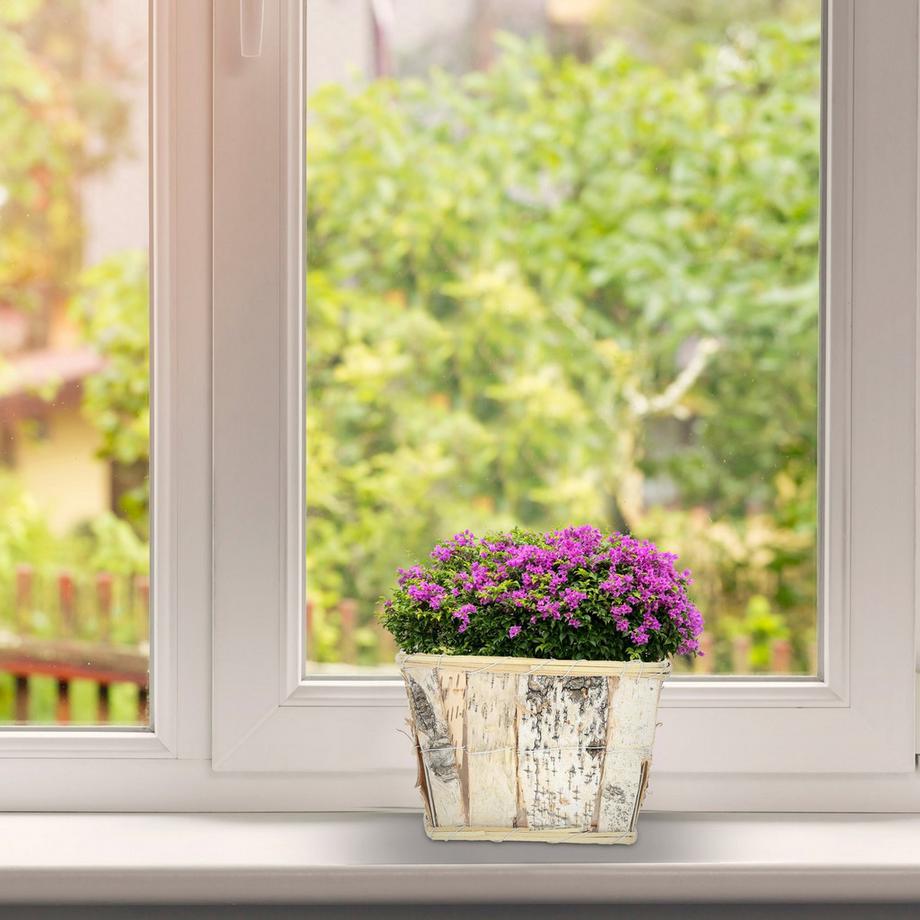 B2X Quadratischer Blumentopf Birke 4er Set  