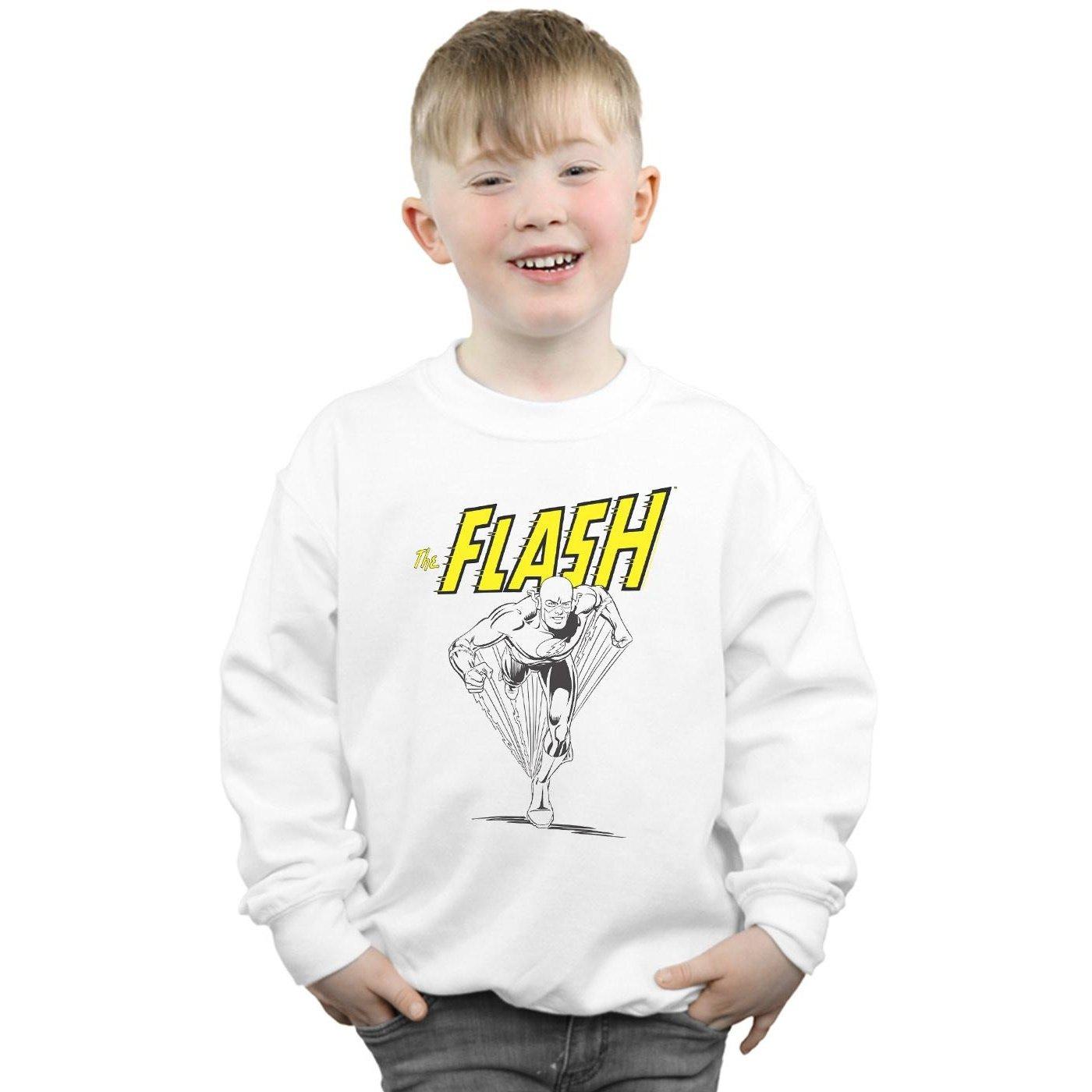 DC COMICS  Sweatshirt 