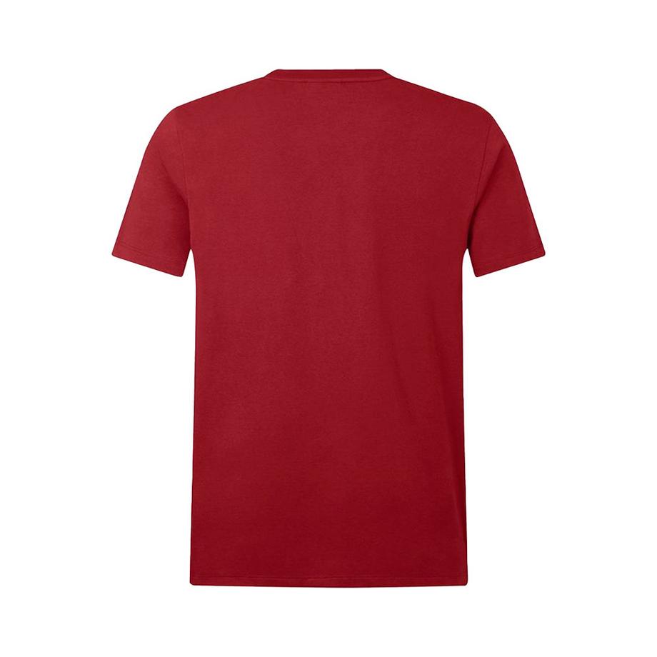 Canterbury  T-ShirtMotiftyle British & Irish Lions Tour´25 