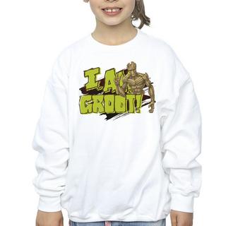 Guardians Of The Galaxy  I Am Groot Sweatshirt 