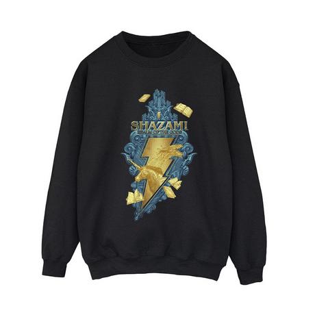 DC COMICS  Fury Of The Gods Sweatshirt 