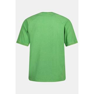 JP1880  T-shirt dal look vintage con "Legend", scollo a girocollo e mezze maniche verde mela 