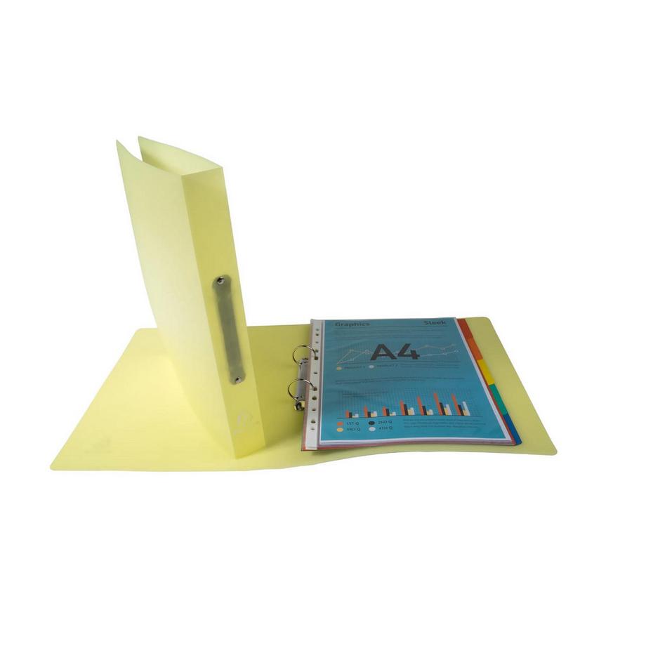 Exacompta Classeur 2 anneaux 30mm Polypropylène Chromaline Pastel - x 15  