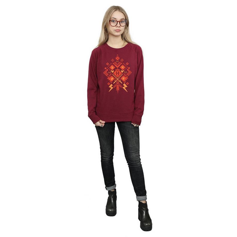 Harry Potter Aztec Print Coupe Ajustée Sweatshirt  