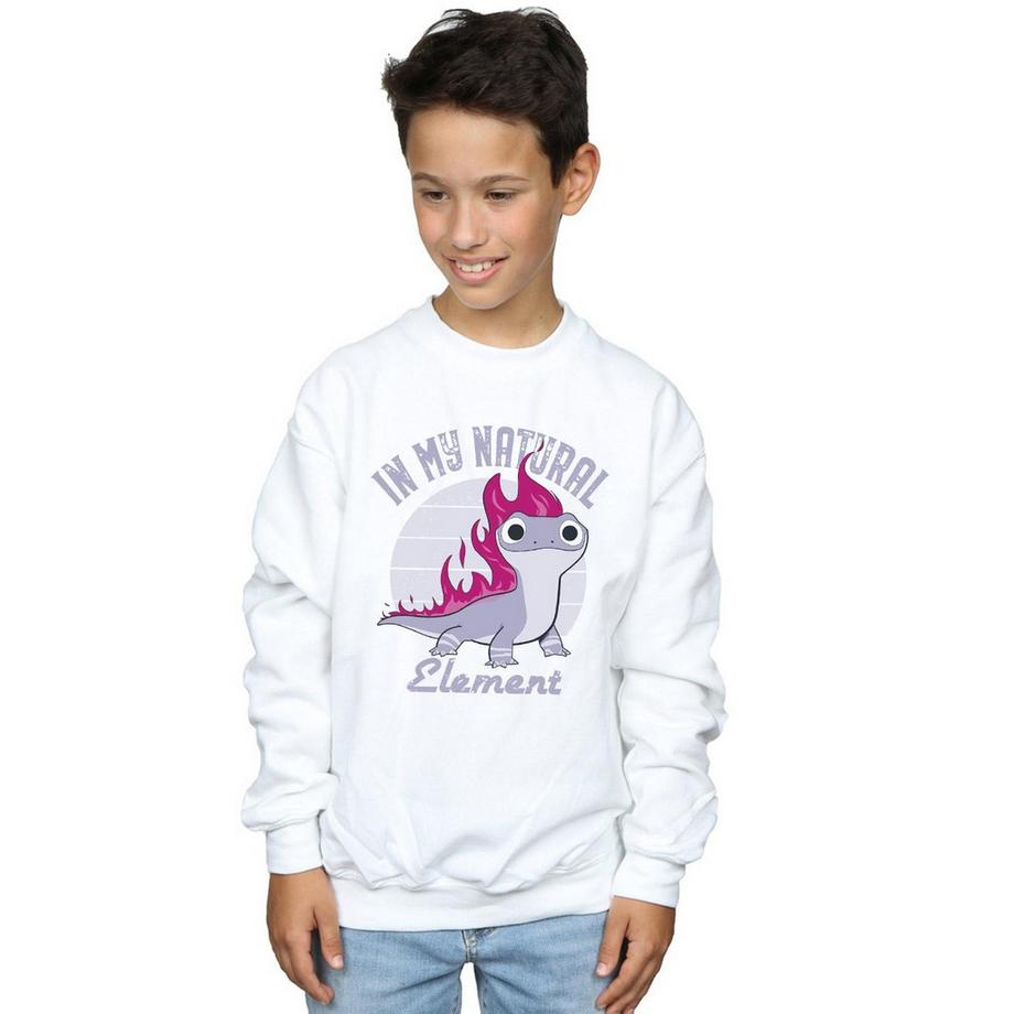 Disney  Frozen 2 Sweatshirt 