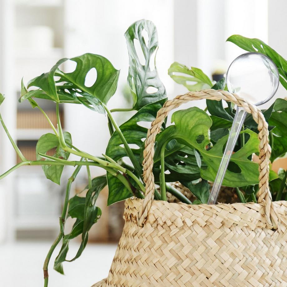 B2X  Wasserballons - 6er-Set 