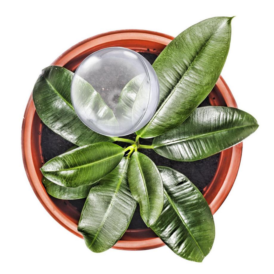 B2X  Wasserballons - 6er-Set 